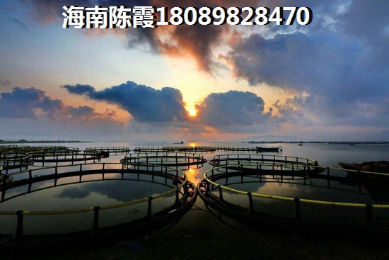 金中海藍鉆房價