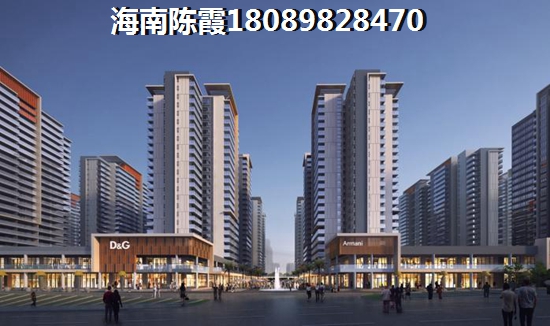 >2020海口購房解析