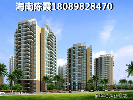 >2020三亞鷺港買房子解讀