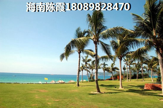 綠城海棠潮鳴生紙空間？