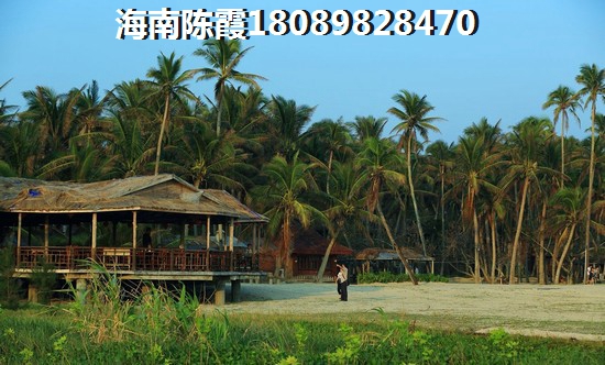 新大同時代廣場交通配套究竟如何？