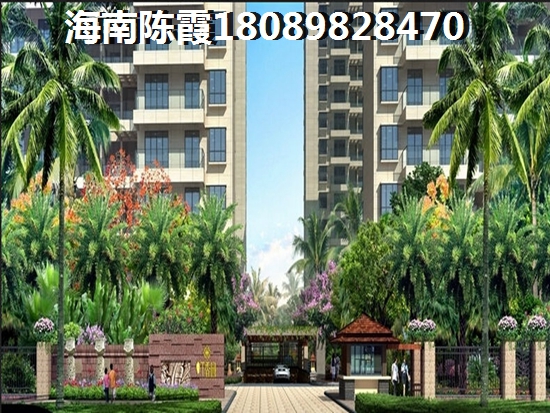 海棠101性價比分析
