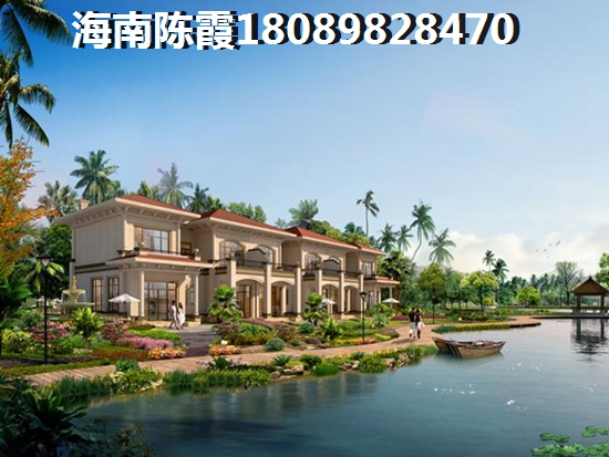 海南碧桂園西部中心