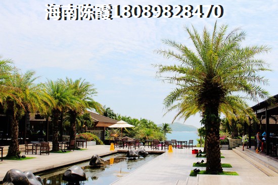 海南?？?025有前景的地區(qū)，海墾·金湖壹號跟偉業(yè)氧立方分析對比！