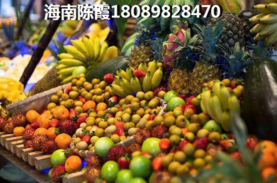 昌江醉適合居住地排名