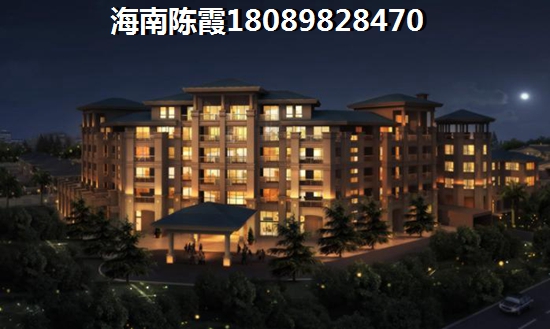 元壟·上品是否更值得投資2025！海南房地產(chǎn)哪個(gè)性價(jià)比高？