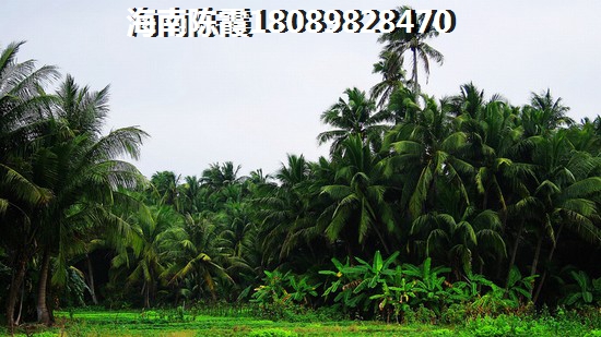 海南定安哪個樓盤便宜？