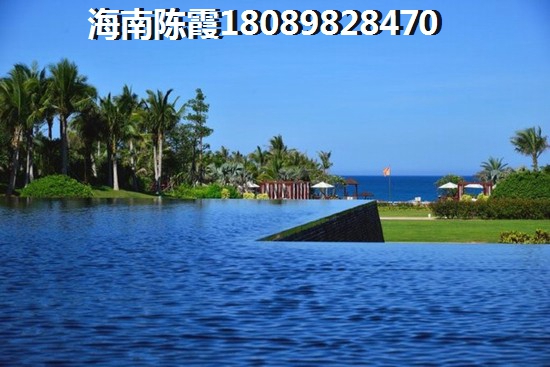 棉花娃娃的屬性和侵權(quán)