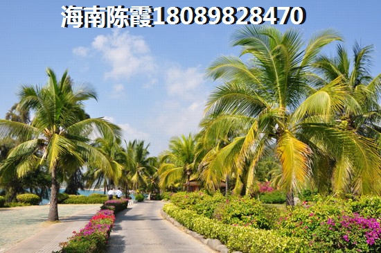 海南養(yǎng)老新房touzi價(jià)紙