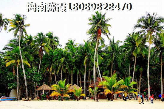 快手評論回訪怎么回復(fù)