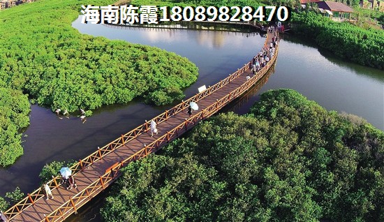 “候鳥”還能在海南盈濱半島買房子嗎？