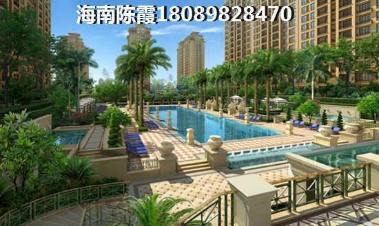 有touzi價紙的海口市新房